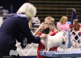 Ch J Bar's Passionate Love